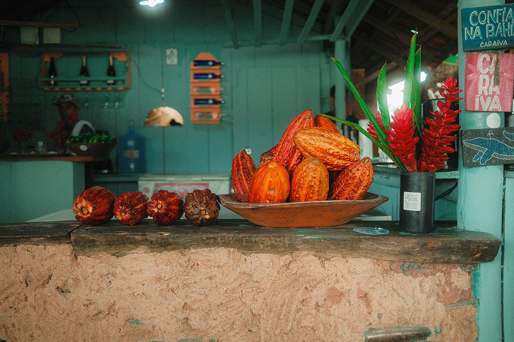 Passagens e pacotes de viagens para o Nordeste - Pipa Viagens Londrina-PR